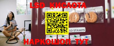крисы Чебаркуль