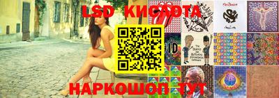 крисы Чебаркуль