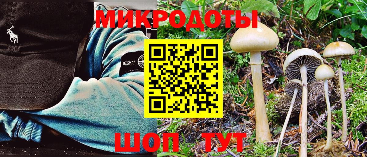 купить  цена  Псилоцибиновые грибы Psilocybine cubensis  Вход с VPN  Вышний Волочёк  Галлюциногенные грибы GOLDEN TEACHER 